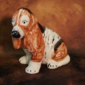 Basset hound